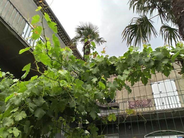 La Maison Jaffran, Suite En Ville Privas Exterior foto