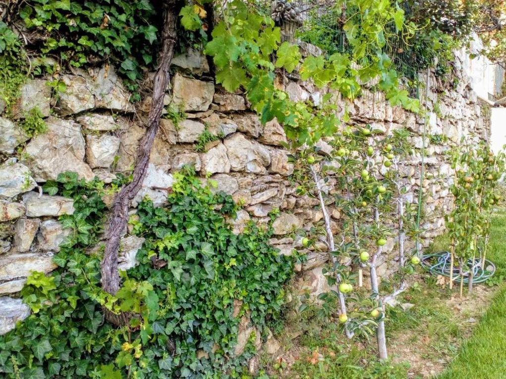 La Maison Jaffran, Suite En Ville Privas Exterior foto